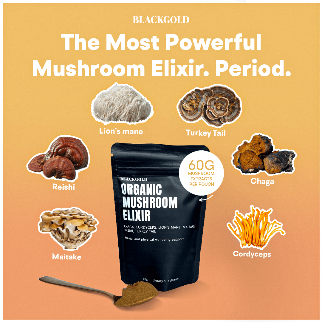Organic Mushroom Elixir Extract Blackgold Elixir